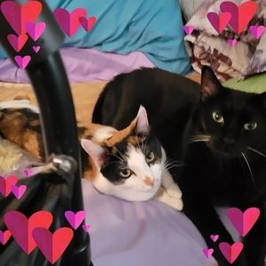 Meet your Posher, Meg